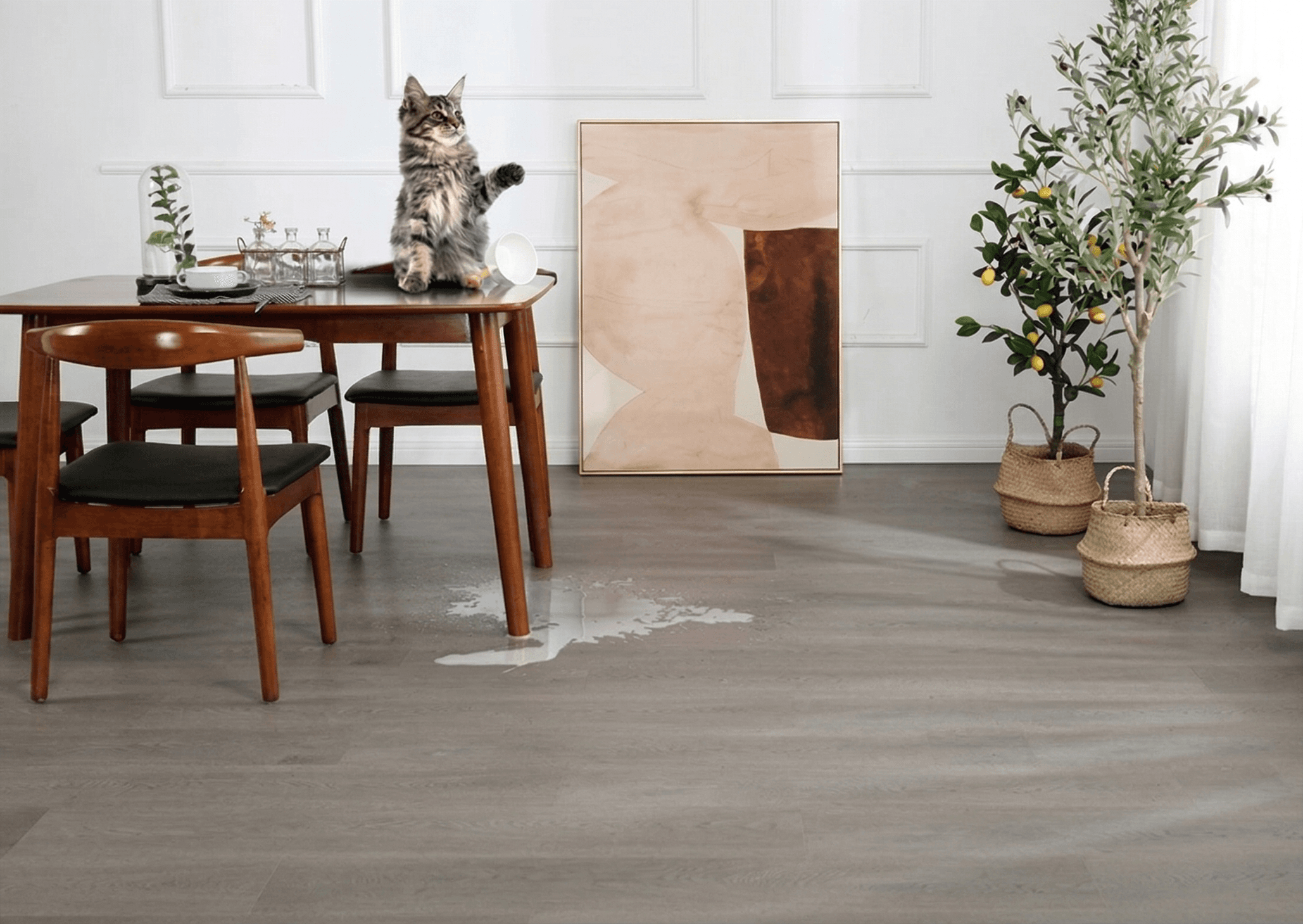 About Shoreline Brands