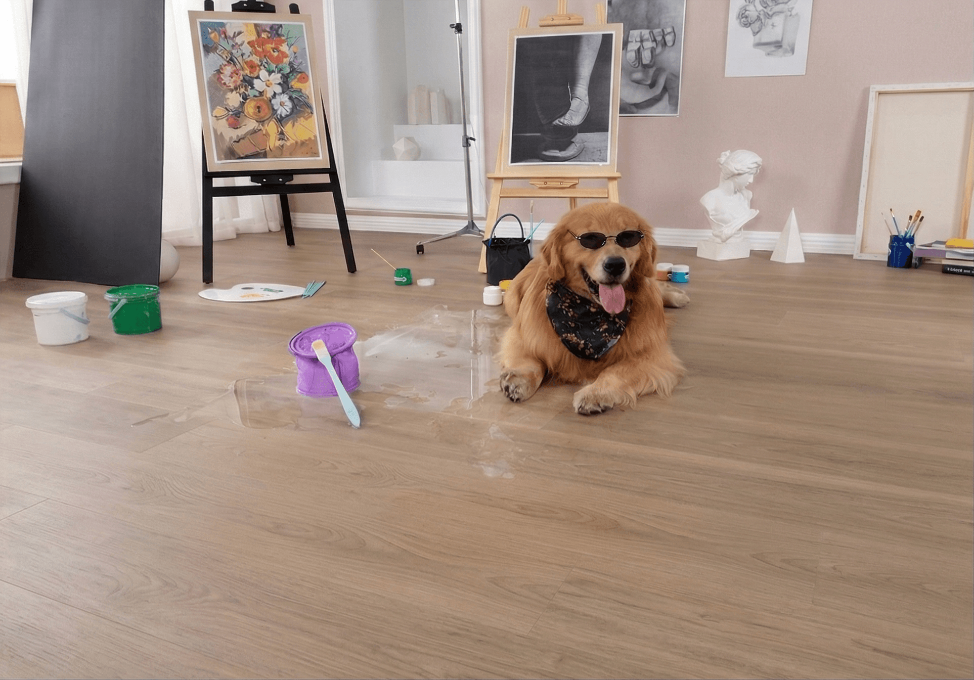 HarborGuard Laminate Collection installation example 6